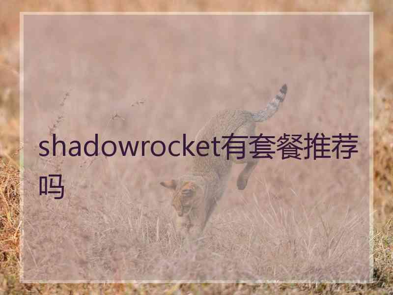 shadowrocket有套餐推荐吗