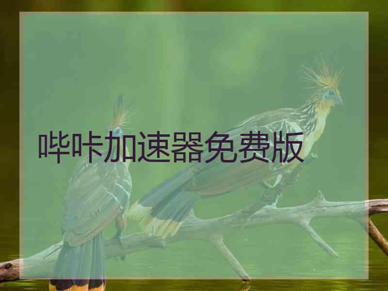 哔咔加速器免费版