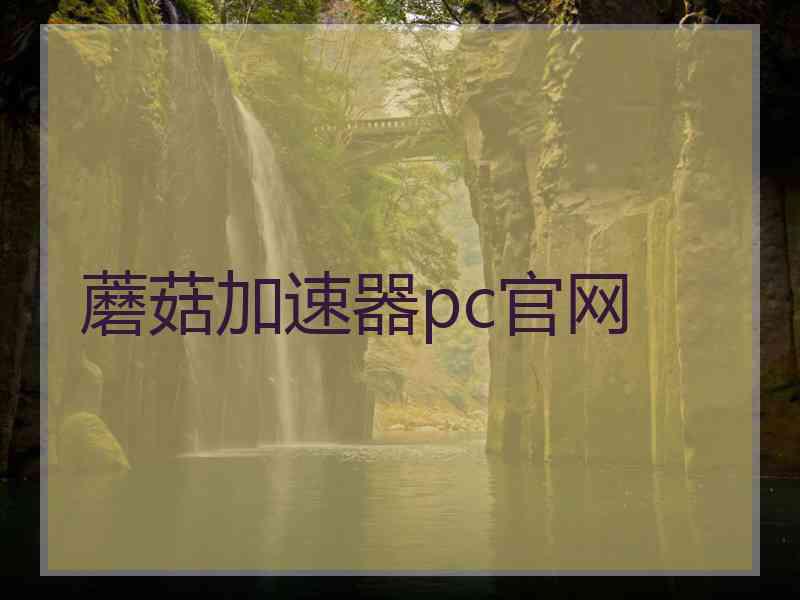 蘑菇加速器pc官网