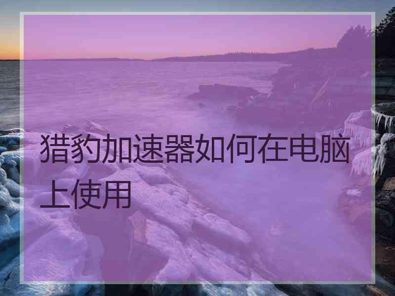 猎豹加速器如何在电脑上使用