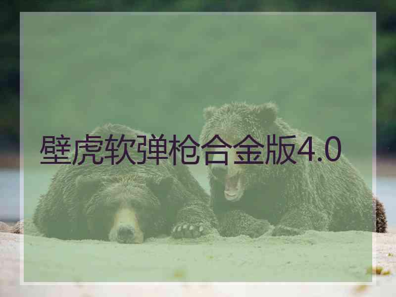 壁虎软弹枪合金版4.0