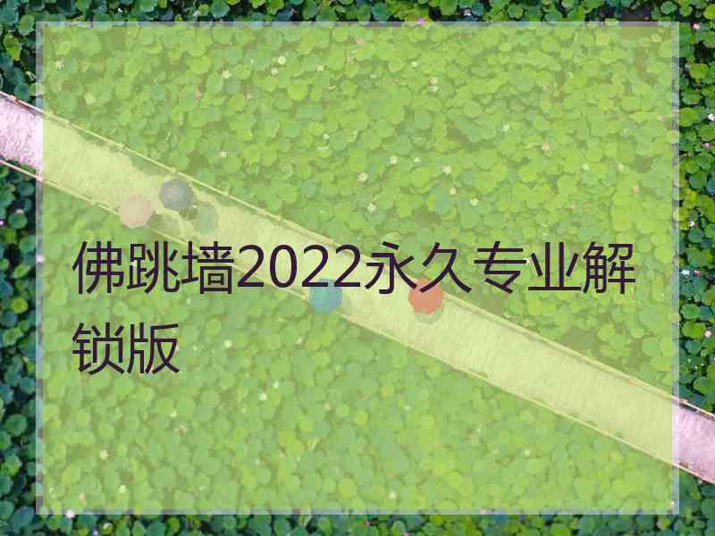 佛跳墙2022永久专业解锁版