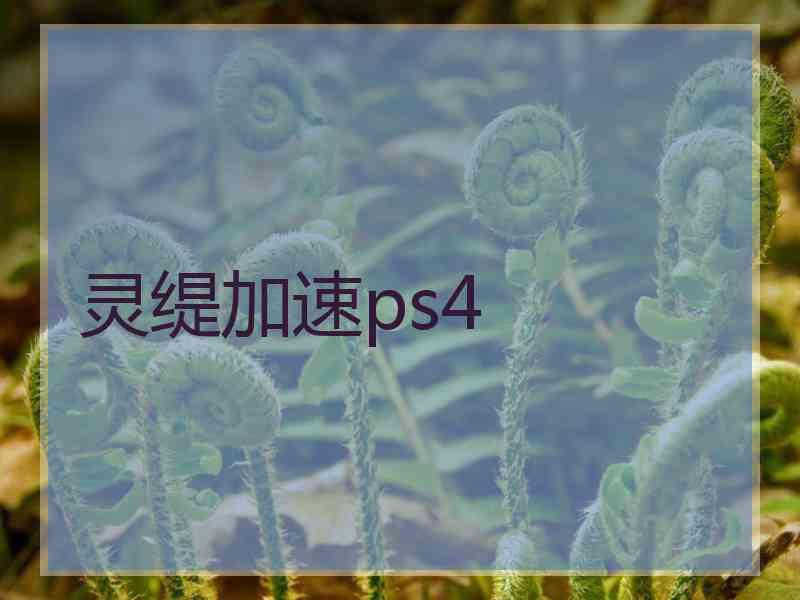 灵缇加速ps4