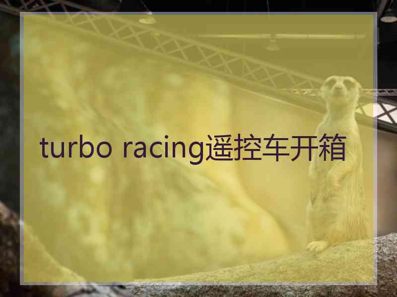 turbo racing遥控车开箱