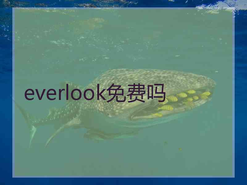 everlook免费吗