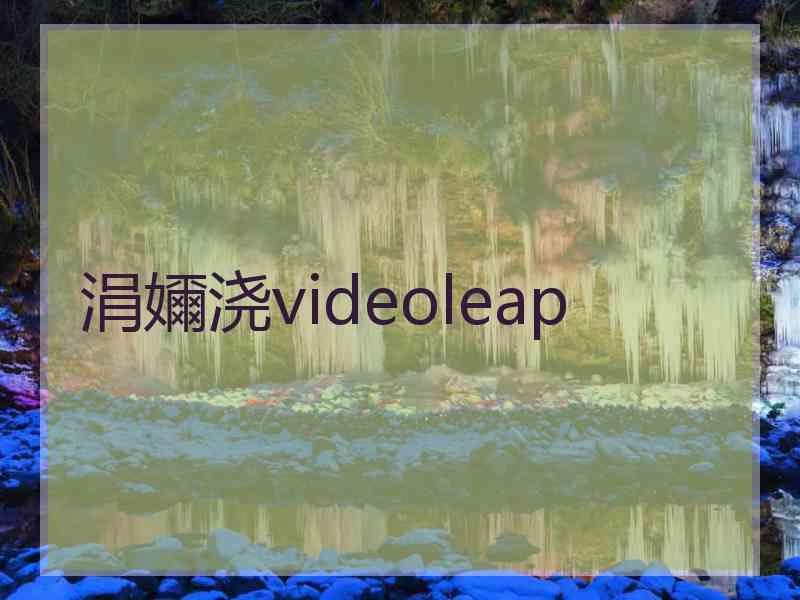 涓嬭浇videoleap