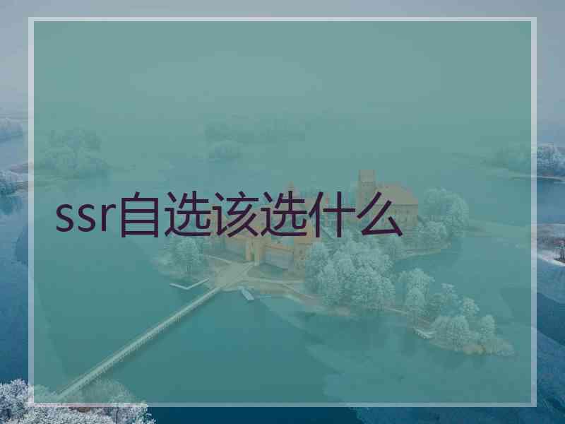 ssr自选该选什么