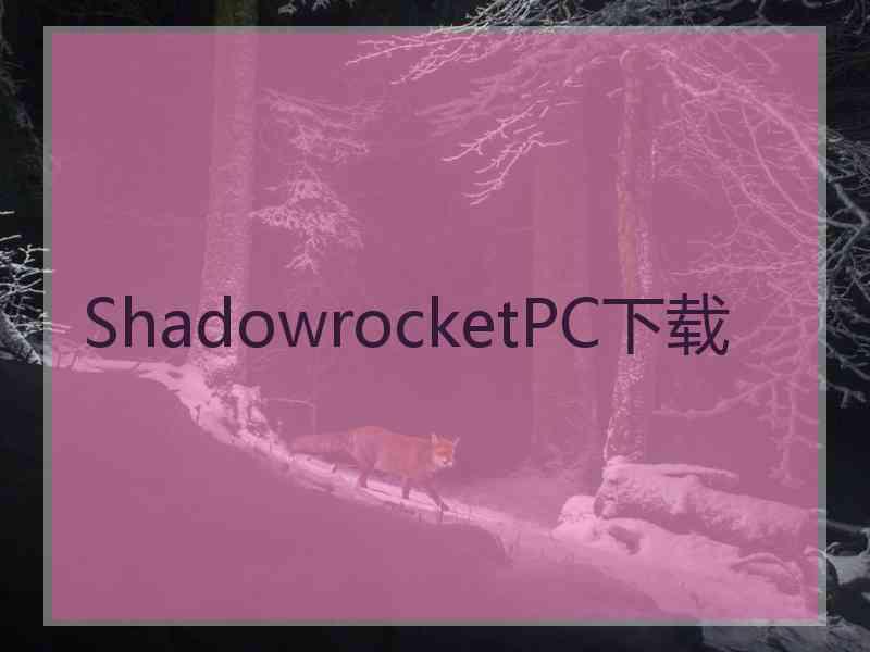 ShadowrocketPC下载