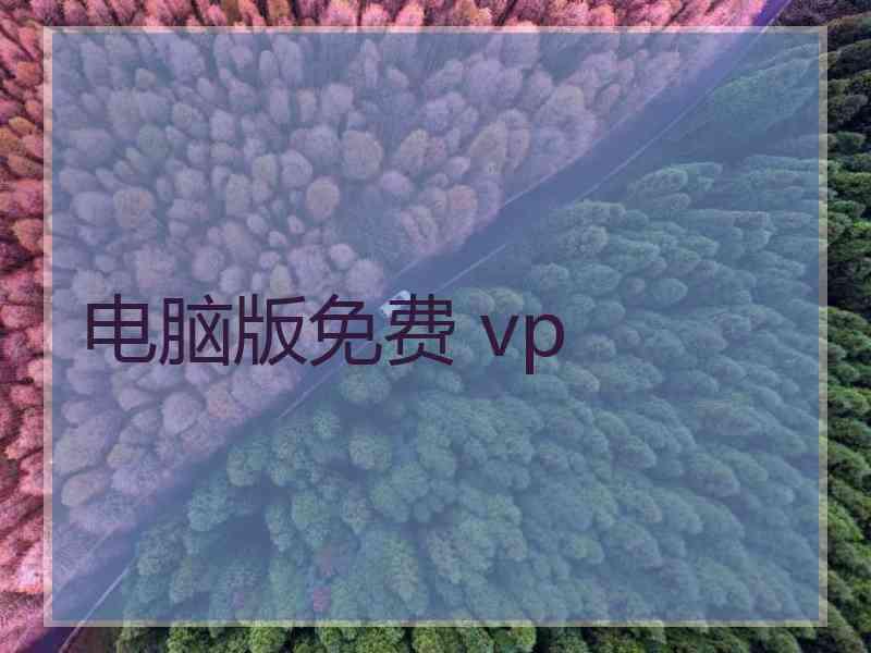 电脑版免费 vp