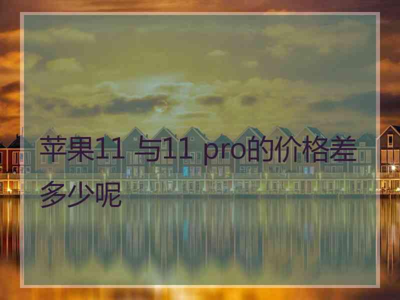 苹果11 与11 pro的价格差多少呢