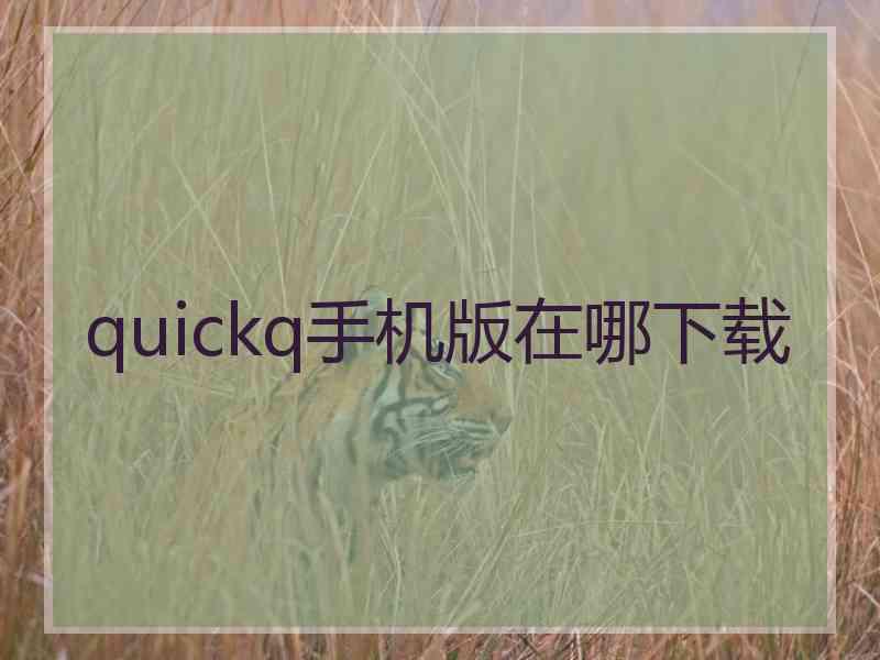 quickq手机版在哪下载