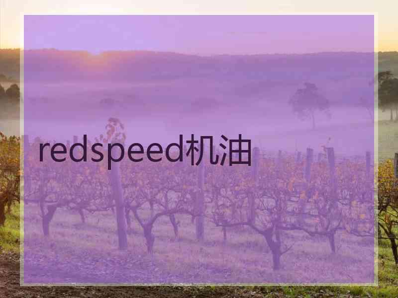 redspeed机油