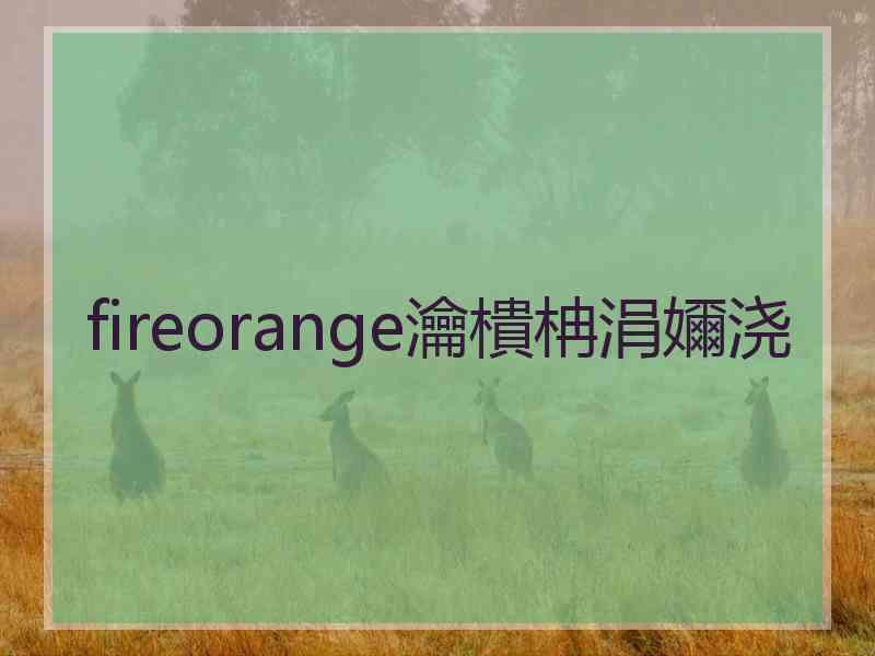 fireorange瀹樻柟涓嬭浇