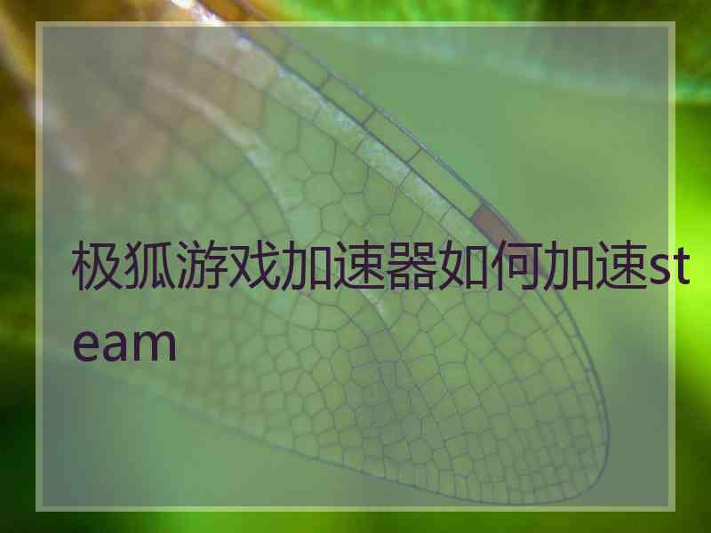 极狐游戏加速器如何加速steam