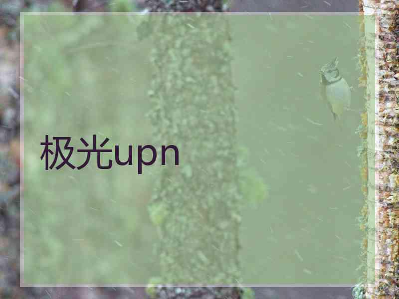 极光upn