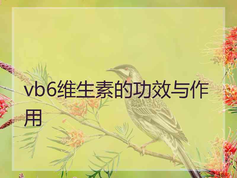 vb6维生素的功效与作用