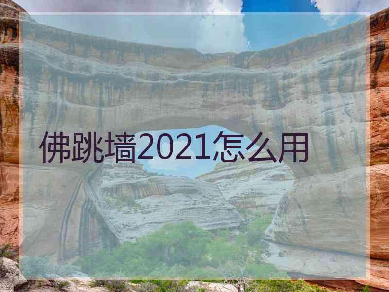 佛跳墙2021怎么用