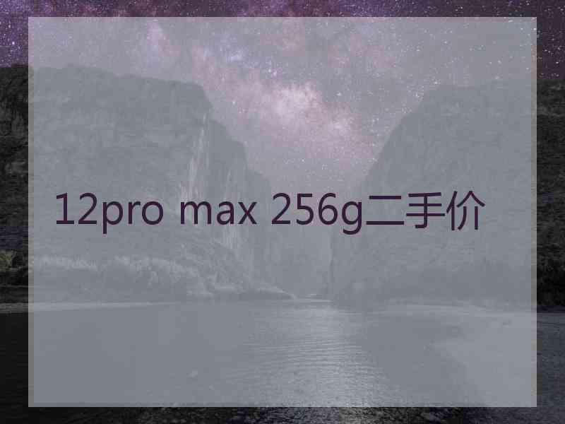 12pro max 256g二手价