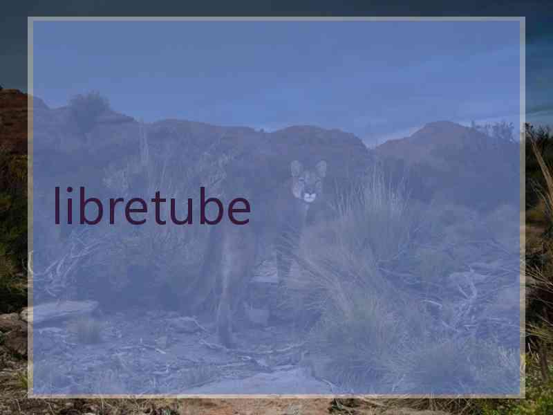 libretube