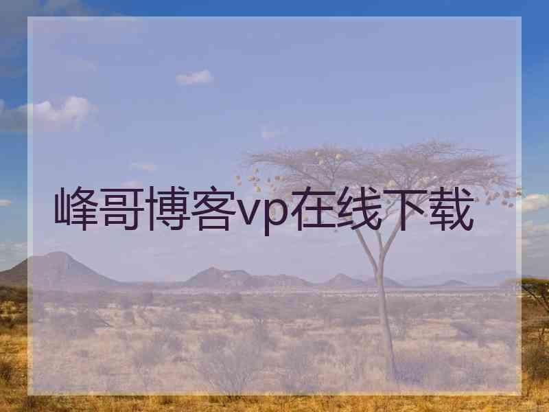 峰哥博客vp在线下载