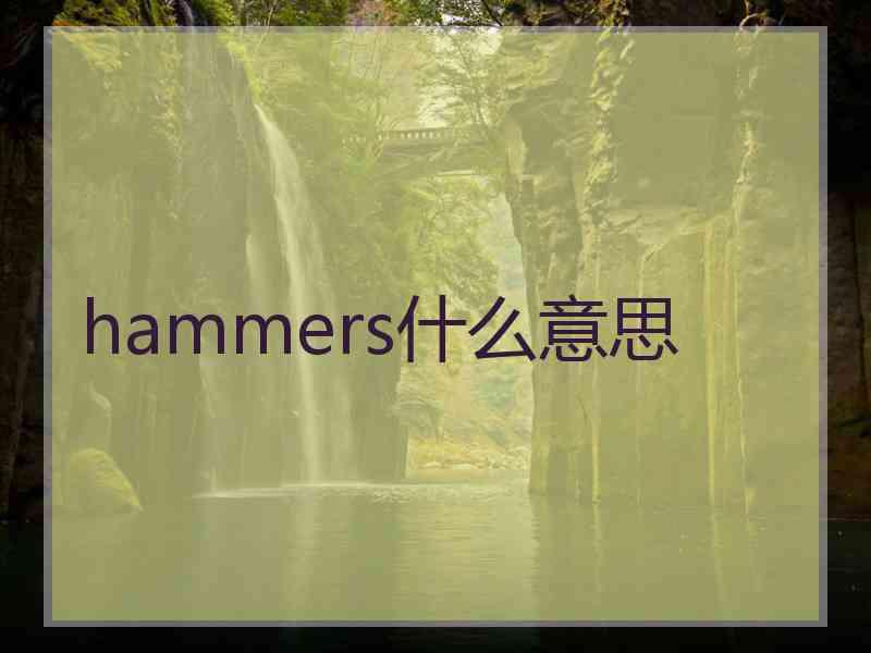 hammers什么意思