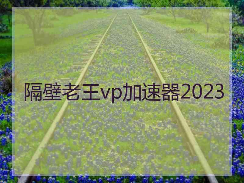 隔壁老王vp加速器2023