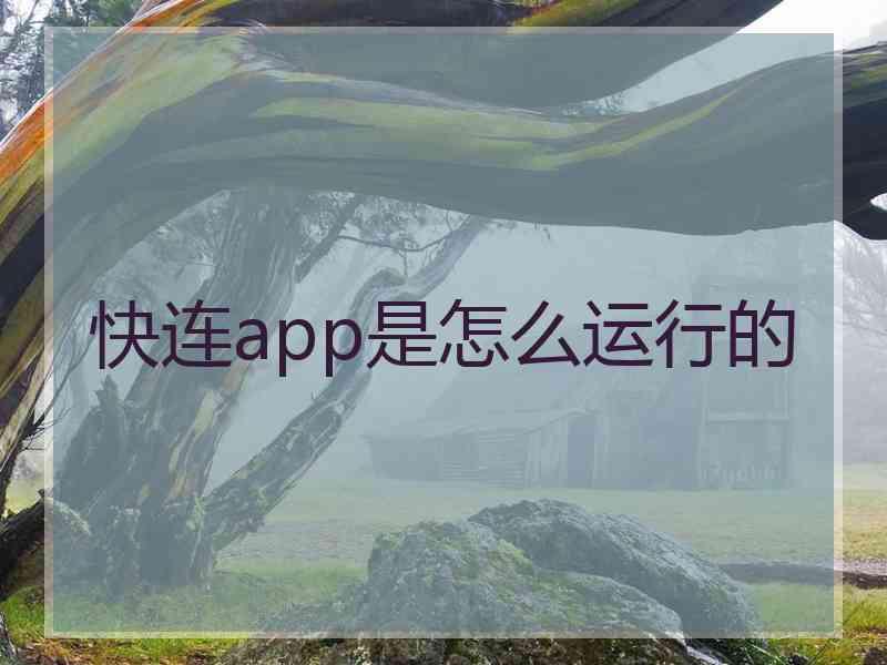 快连app是怎么运行的