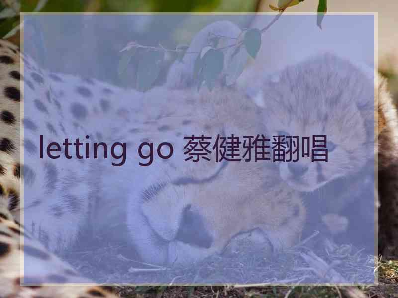 letting go 蔡健雅翻唱