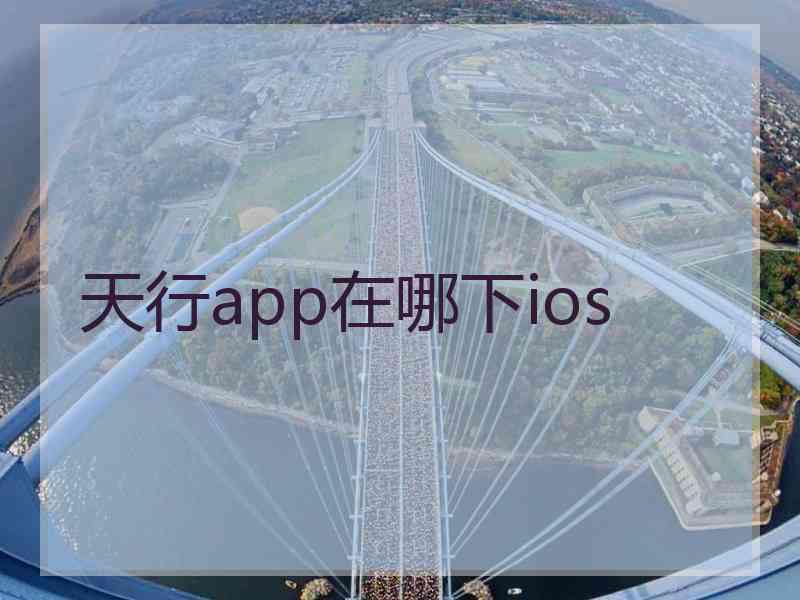 天行app在哪下ios