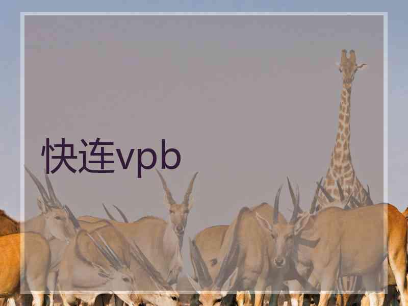 快连vpb