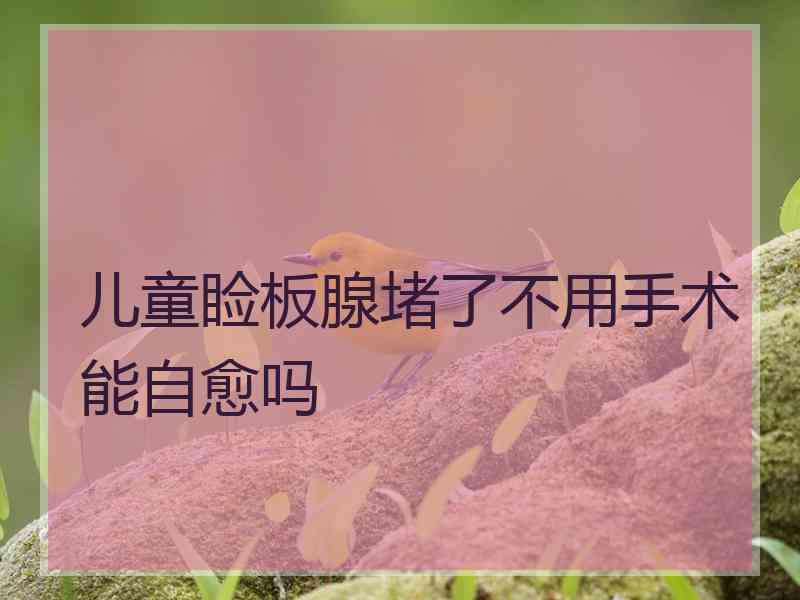 儿童睑板腺堵了不用手术能自愈吗