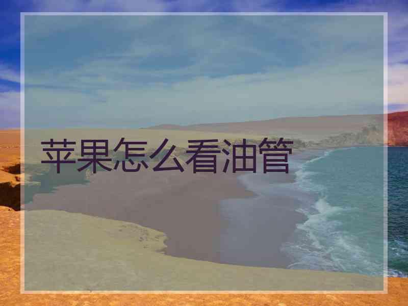 苹果怎么看油管