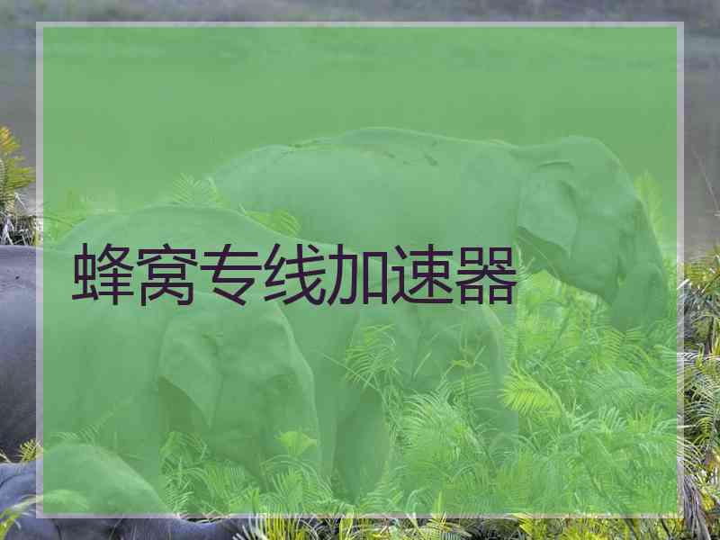 蜂窝专线加速器