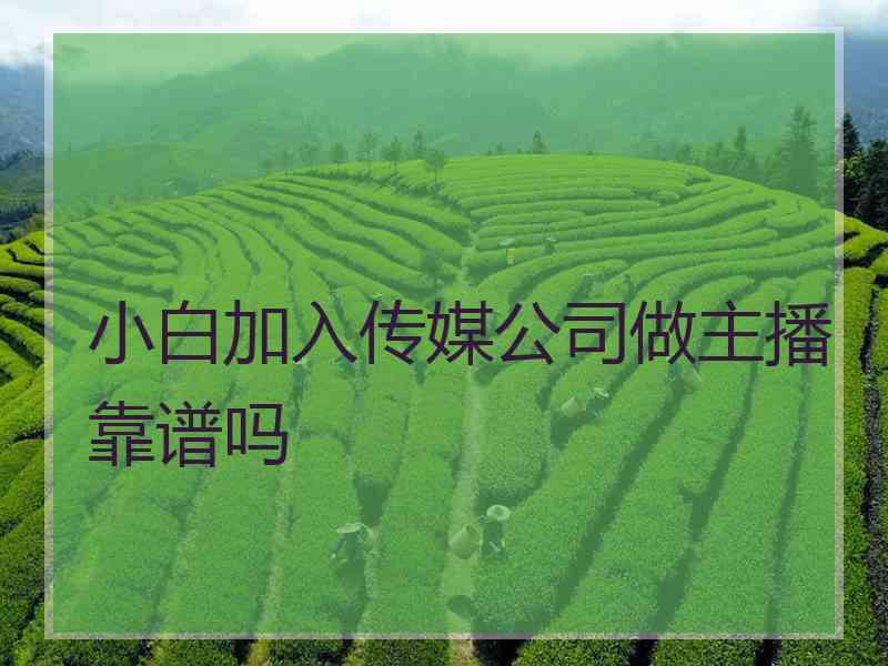 小白加入传媒公司做主播靠谱吗