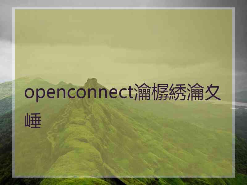 openconnect瀹樼綉瀹夊崜