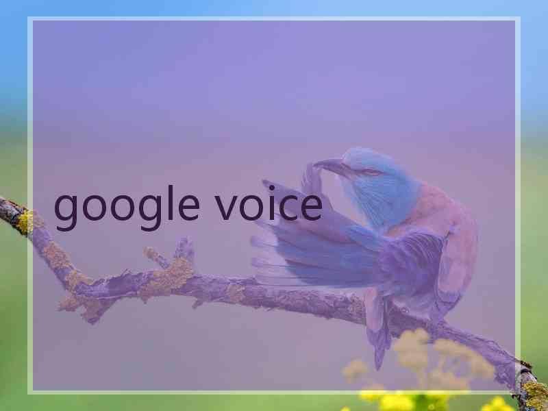 google voice