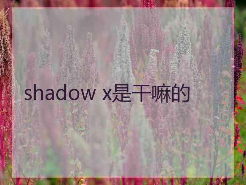 shadow x是干嘛的