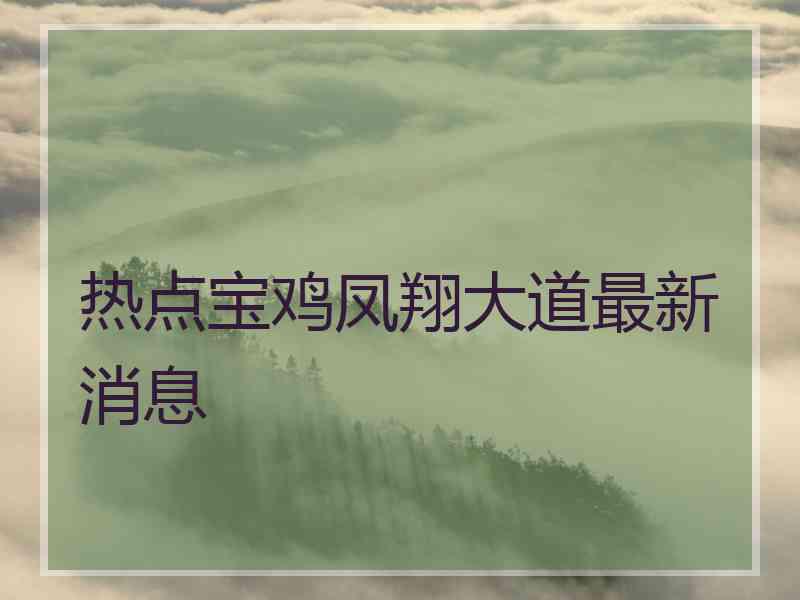 热点宝鸡凤翔大道最新消息