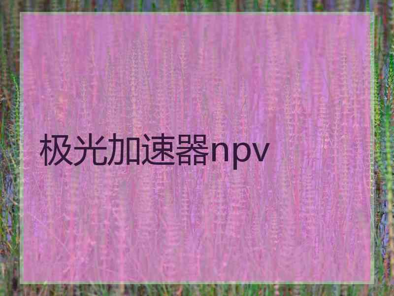 极光加速器npv