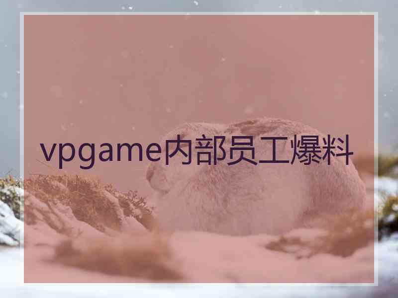 vpgame内部员工爆料