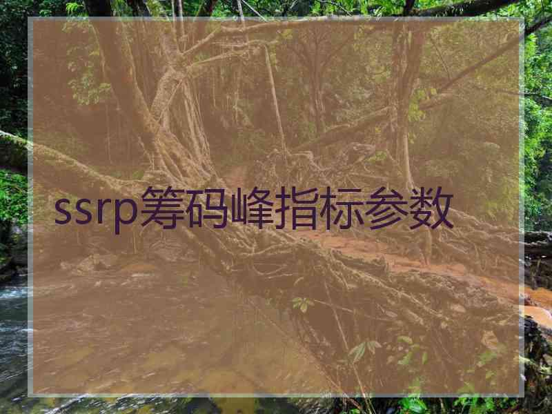 ssrp筹码峰指标参数