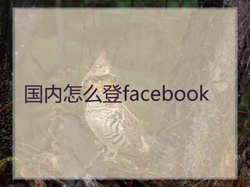 国内怎么登facebook