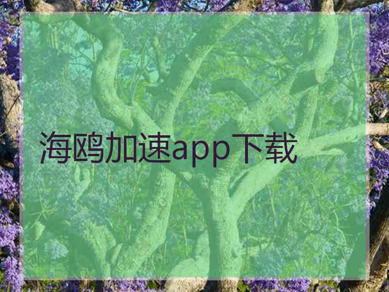 海鸥加速app下载