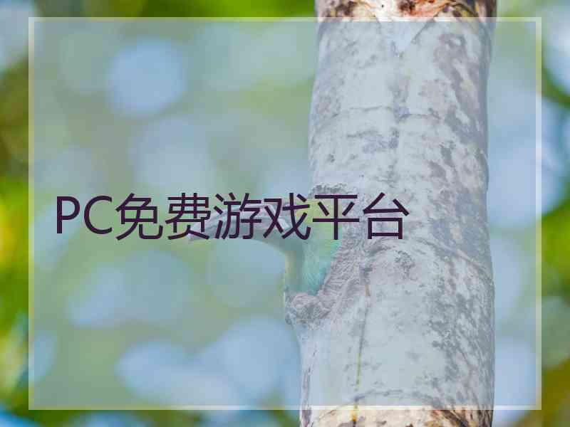 PC免费游戏平台