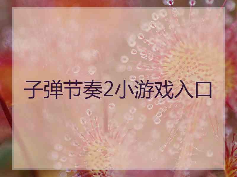 子弹节奏2小游戏入口