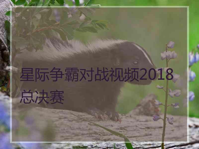 星际争霸对战视频2018总决赛