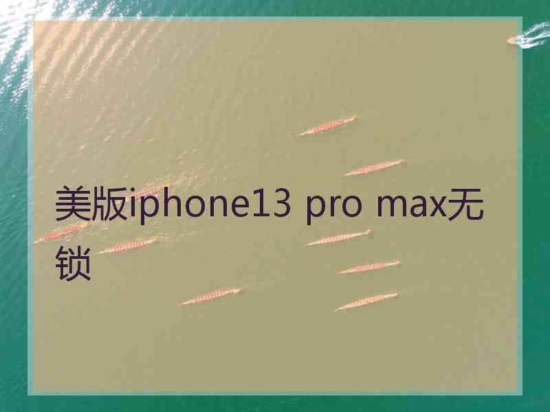 美版iphone13 pro max无锁