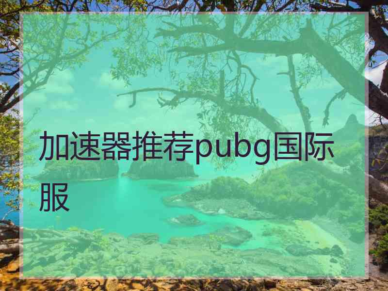 加速器推荐pubg国际服