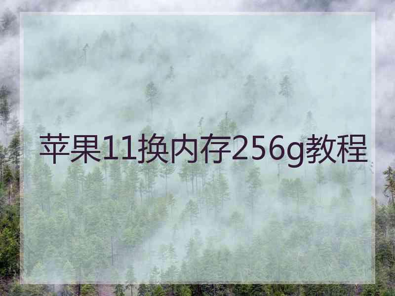 苹果11换内存256g教程