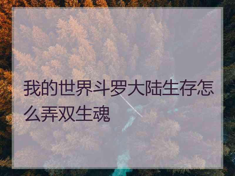 我的世界斗罗大陆生存怎么弄双生魂